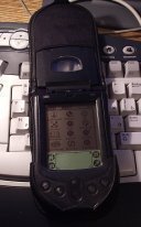 foto of my Palm m105